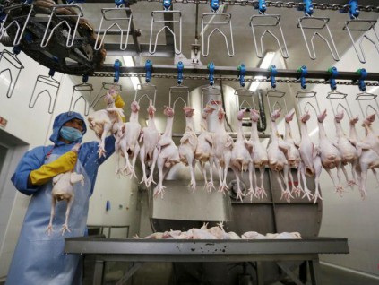 中国解除进口美国禽肉限制 弥补非洲猪瘟导致的猪肉短缺