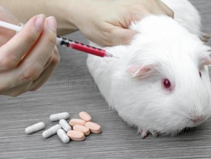 美国一项研究：动物实验指生酮饮食或有助对抗流感