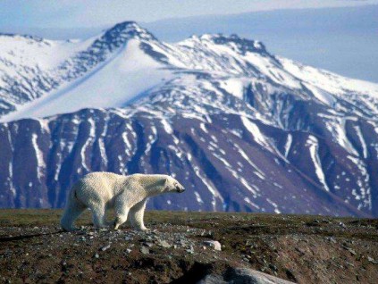 英国研究： 2050年气候变化或给世界经济造成逾10万亿元损失