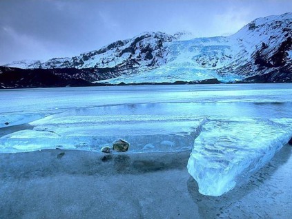 最新研究发现：史上首次生物大灭绝持续仅二十万年