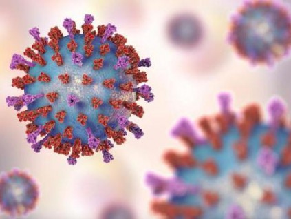 澳洲科学家成功复制出新型冠状病毒