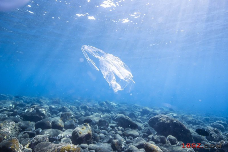 海洋制造塑料垃圾