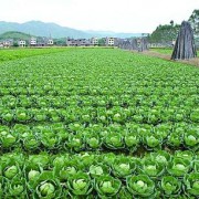 天津市国业嘉程农业科技有限公司