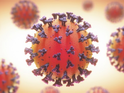科学家已分析新冠病毒的尖刺特徵 寻找弱点