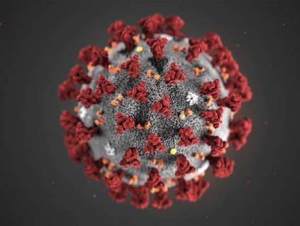 重大突破！澳发现新冠克星 48小时内杀死病毒RNA