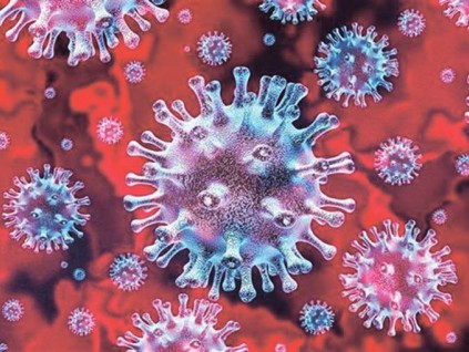 为什么新冠病毒的源头和传播途径争论成为焦点?