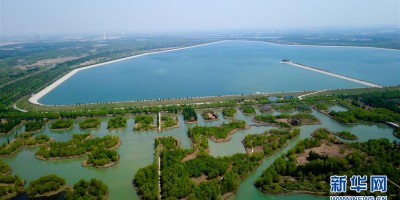 泉城济南：济西湿地春色美