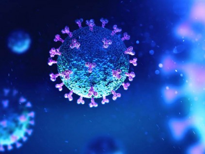 法国官方反驳：诺贝尔奖得主对病毒源头的结论