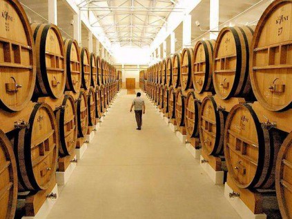 疫情冲击欧洲酿酒业 业者拟将葡萄酒转制酒精