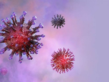 发现可附着新冠病毒的抗体 德研究机构获突破性进展