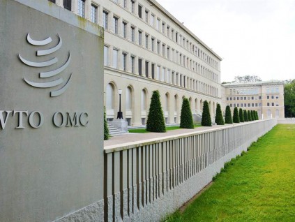 疫情连累全球贸易 WTO秘书长阿兹维多提前离职
