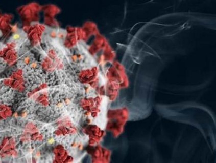 美研究：只有大多数人感染新冠病毒后 气候才会阻止疫情蔓延