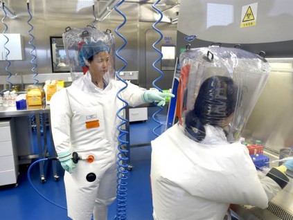 澳洲研究团队报告：新冠病毒「特别适合感染人类」