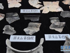 浙江余姚发现距今8000年前史前遗址