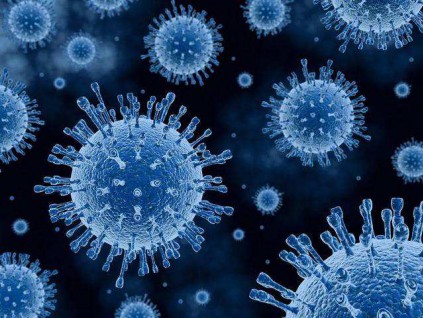 挪威研究：新冠病毒刺突蛋白疑有人工插入序列