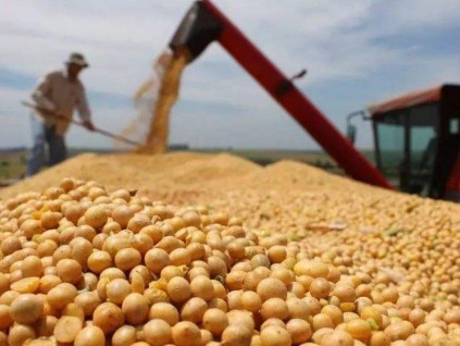 中国6月进口巴西大豆飙升至纪录高位