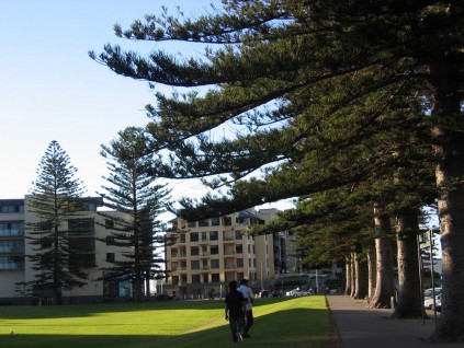澳洲恢复允许亚洲学生入境 300学生9月初将赴南澳