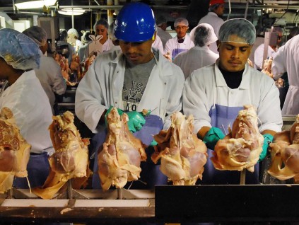中国暂停第二家美国禽肉加工厂产品进口