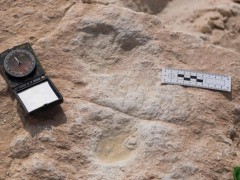 考古学家在沙特 发现逾12万年前人类足迹