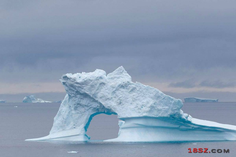 北极恐面临夏季无冰现象