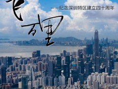 鹏飞万里——纪念深圳特区建立四十周年