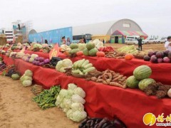 榆阳区获评全国农产品全程质量控制技术体系试点县