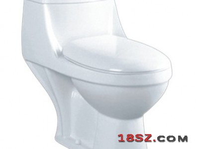 ONE-PIECE TOILET ZT-600