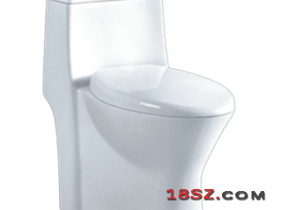 ONE-PIECE TOILET ZT-063