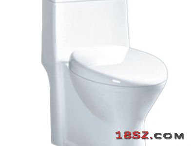 ONE-PIECE TOILET ZT-062