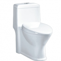 ONE-PIECE TOILET ZT-062