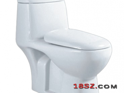 ONE-PIECE TOILET ZT-2084