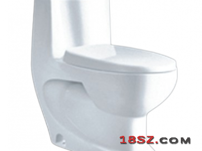 ONE-PIECE TOILET ZT-920