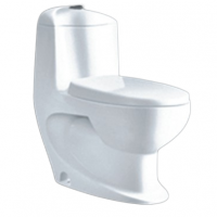 ONE-PIECE TOILET ZT-920