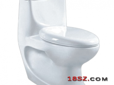 ONE-PIECE TOILET ZT-930