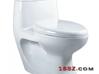 ONE-PIECE TOILET ZT-940