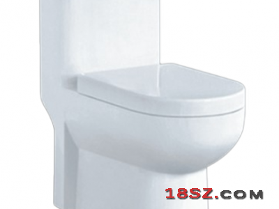 ONE-PIECE TOILET ZT-061