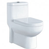 ONE-PIECE TOILET ZT-061