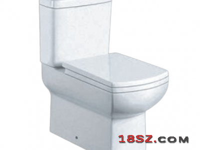 TWO-PIECE TOILET ZT-7013