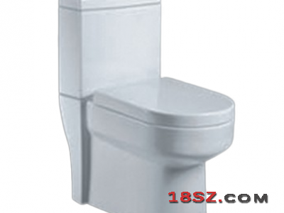 TWO-PIECE TOILET ZT-554