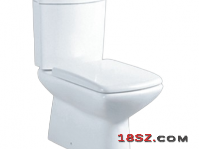 TWO-PIECE TOILET ZT-762