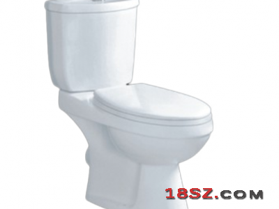 TWO-PIECE TOILET ZT-443