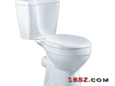 TWO-PIECE TOILET ZT-552