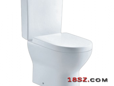 TWO-PIECE TOILET ZT-7003