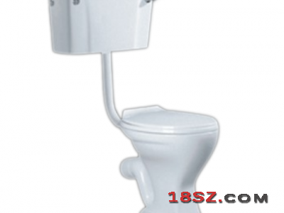 TWO-PIECE TOILET ZT-509