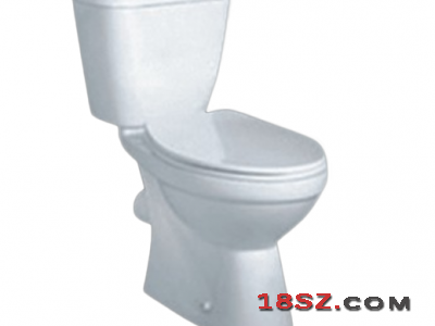 TWO-PIECE TOILET ZT-444