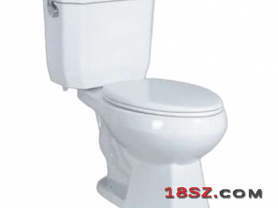 TWO-PIECE TOILET ZT-7001