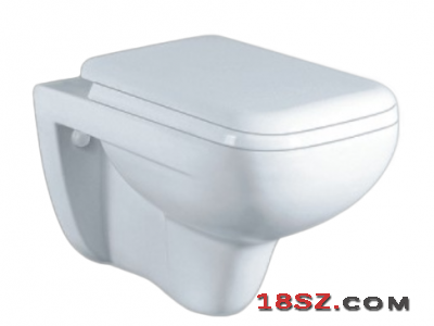 WALL-HUNG TOILET ZT-1014