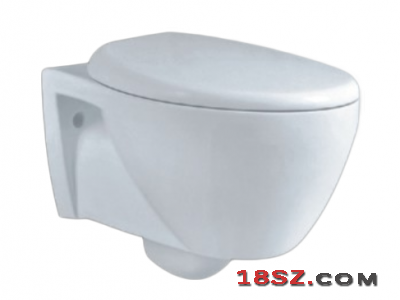 WALL-HUNG TOILET ZT-1023