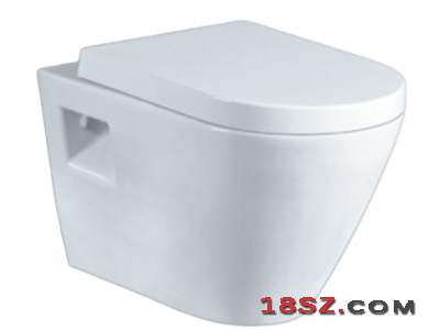 WALL-HUNG TOILET ZT-1018