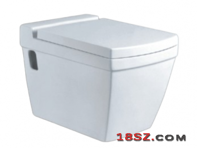 WALL-HUNG TOILET ZT-1021